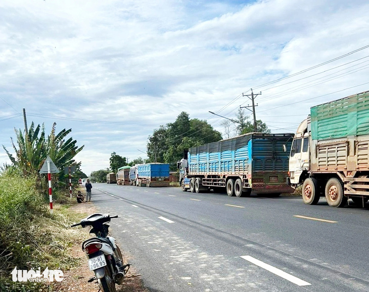 Xe chở nông sản xếp hàng dài tại khu vực cửa khẩu quốc tế Xa Mát, tỉnh Tây Ninh - Ảnh: ĐỨC TRONG