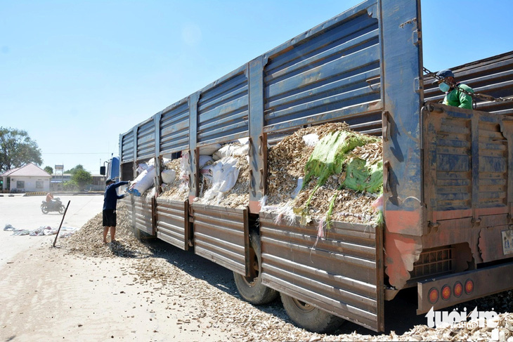 Xe chở mì lát từ Campuchia nhập khẩu qua cửa khẩu quốc tế Xa Mát đều phải tập trung về một kho bãi tư nhân để hải quan giám sát, làm thủ tục - Ảnh: ĐỨC TRONG