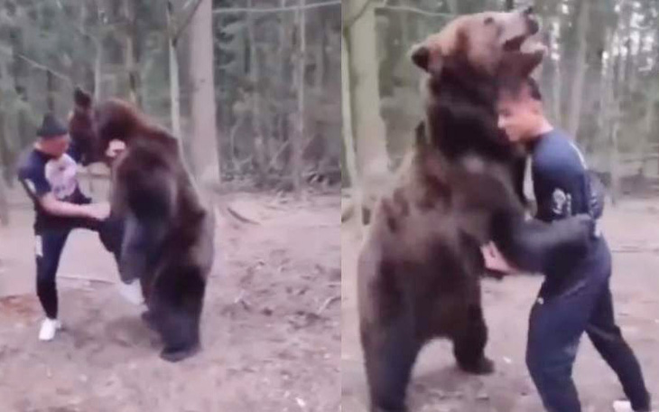 Võ sĩ MMA đấu vật với gấu khổng lồ