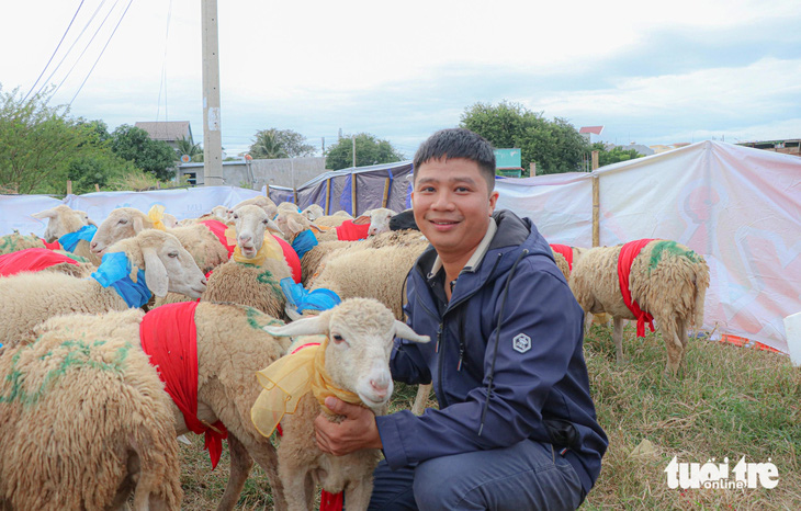 Đàn cừu của gia đình anh Hà Nguyễn Huy Hậu được 