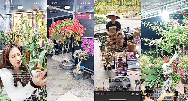 Không khí tưng bừng livestream bán hoa kiểng của các nhà vườn dịp Tết gần kề trên các trang Facebook, TikTok
