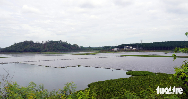 Dự án điện mặt trời ở hồ Tầm Bó, huyện Châu Đức, tỉnh Bà Rịa - Vũng Tàu - Ảnh: Đ.H.