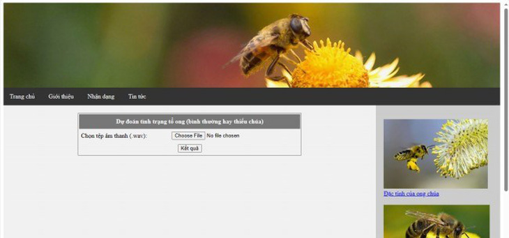 Nghiên cứu nền tảng xây dựng API và ứng dụng cảnh báo tình trạng thiếu ong chúa- Ảnh 3.