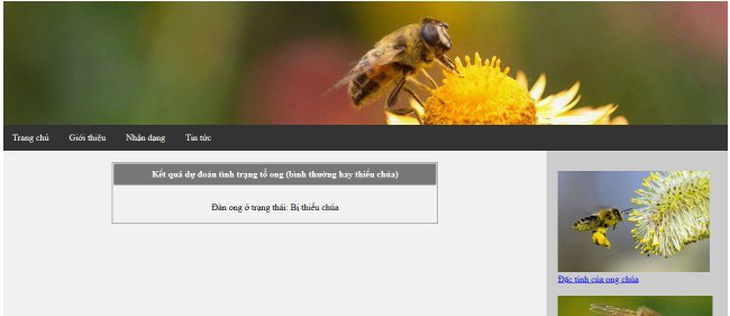 Nghiên cứu nền tảng xây dựng API và ứng dụng cảnh báo tình trạng thiếu ong chúa- Ảnh 4.
