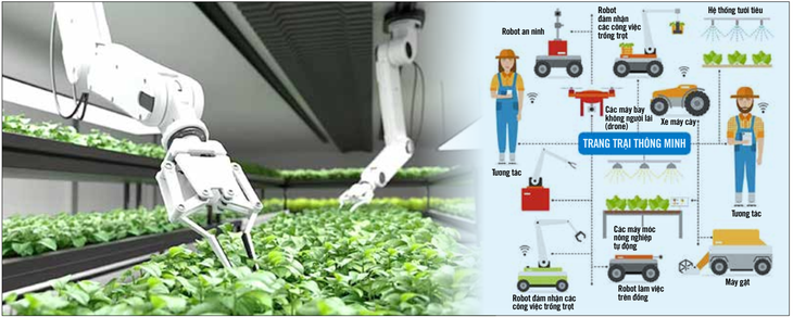 Những cánh tay robot trồng rau thay cho con người - Ảnh: Freepik - Đồ họa: Depositphotos - Việt hóa: UYÊN PHƯƠNG
