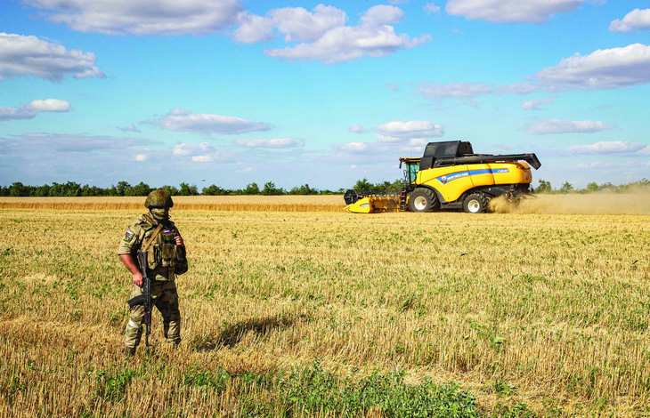 Ukraine đã tiếp tục xuất khẩu ngũ cốc tới giữa năm 2023. Ảnh: NBC News