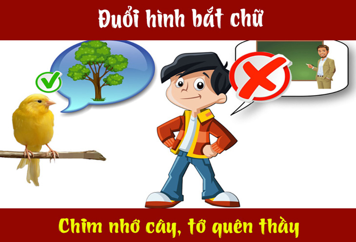 IQ cao có đoán được đây là câu tục ngữ, thành ngữ gì? (P14)- Ảnh 2.