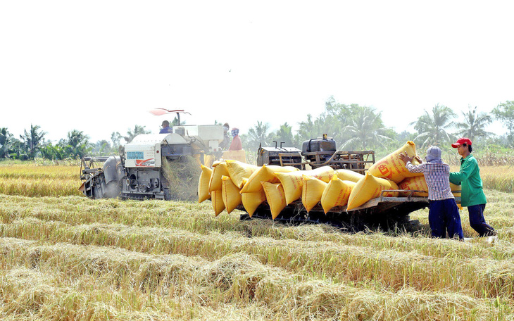 Miền Tây triển khai 1 triệu héc ta trồng lúa chất lượng cao