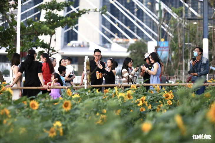 Từ cuối giờ chiều, người dân tranh thủ dạo mát, ngắm hoa dưới tiết trời dễ chịu của TP.HCM ngày cuối năm - Ảnh: PHƯƠNG QUYÊN 