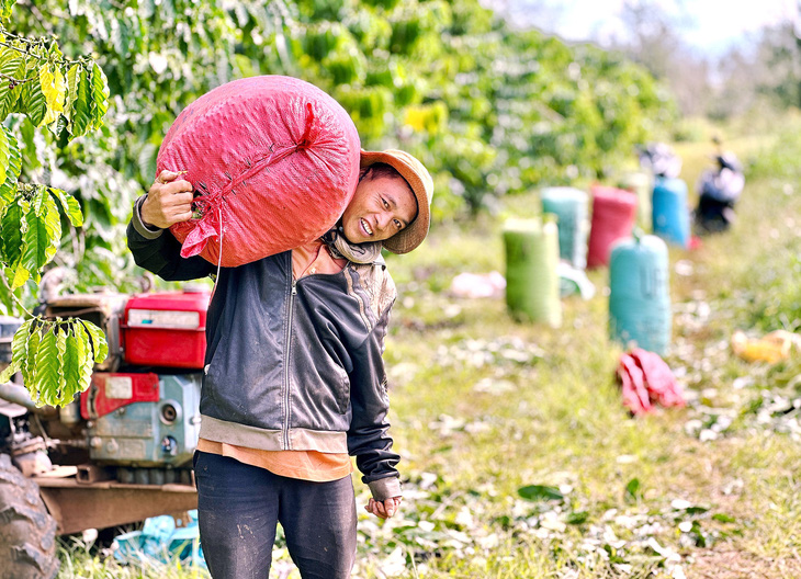 Nông dân Đắk Lắk vui mừng vì cà phê được mùa - Ảnh: THẾ THẾ
