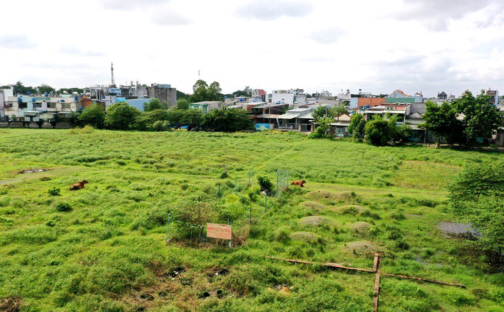 Một khu đất nông nghiệp cấm xây dựng tại quận Bình Tân, TP.HCM  - Ảnh: TỰ TRUNG