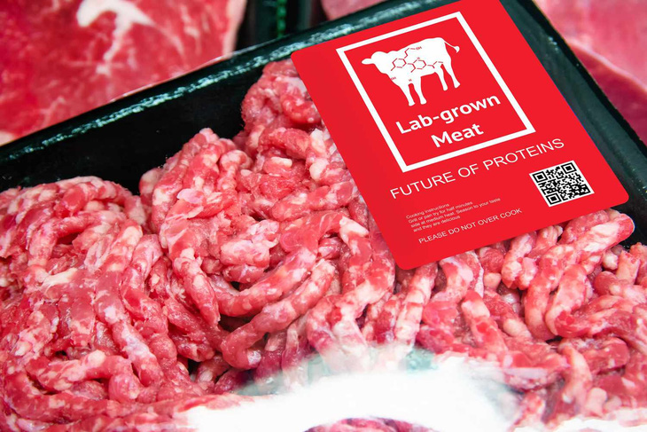 Các công ty sản xuất thịt nhân tạo đang nỗ lực mở rộng quy mô sản xuất. Ảnh minh họa. Nguồn: verywellhealth.com
