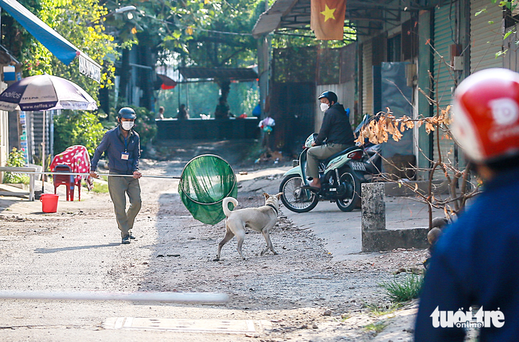Đội bắt chó thả rông tại phường Hiệp Bình Chánh, TP Thủ Đức - Ảnh: CHÂU TUẤN