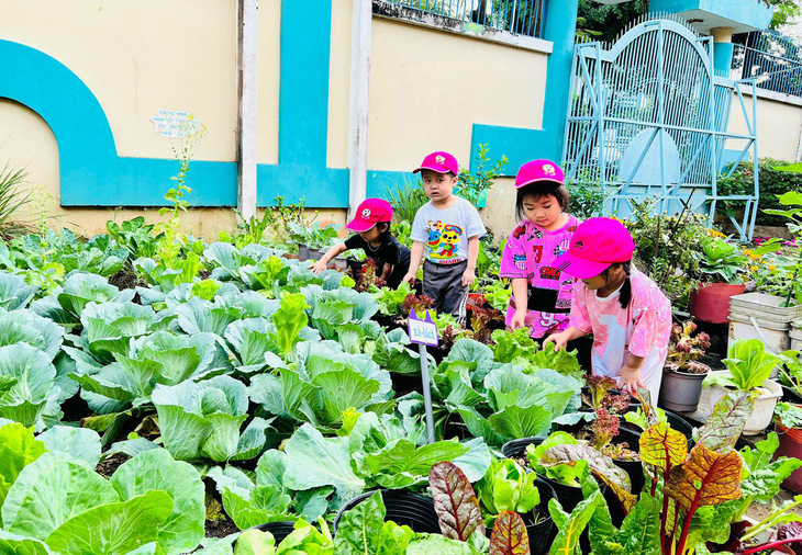 Trẻ lớp 3-4 tuổi ra học nơi vườn trường ở Trường mầm non Hương Sen, quận Bình Tân, TP.HCM - Ảnh: HÀ THI