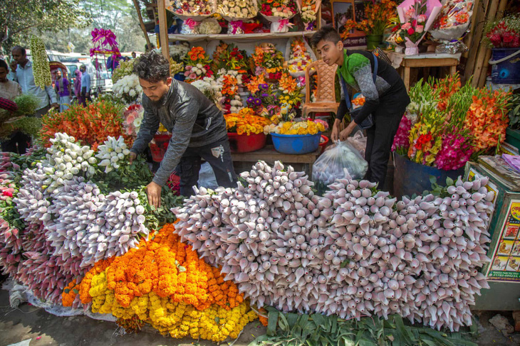 Những người bán hoa lề đường ở thủ đô Dhaka (Bangladesh) sắp xếp lại hoa trước lễ hội mùa xuân Bashanta Utshab và Ngày lễ tình nhân 14-2. Ảnh: EPA