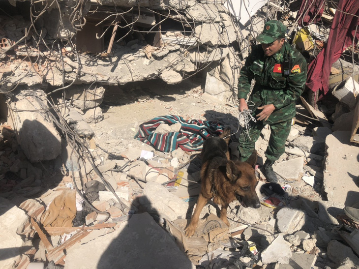 Đội chó nghiệp vụ Việt Nam phát hiện hai thi thể dưới đống đổ nát - Ảnh: Thành viên đoàn cung cấp