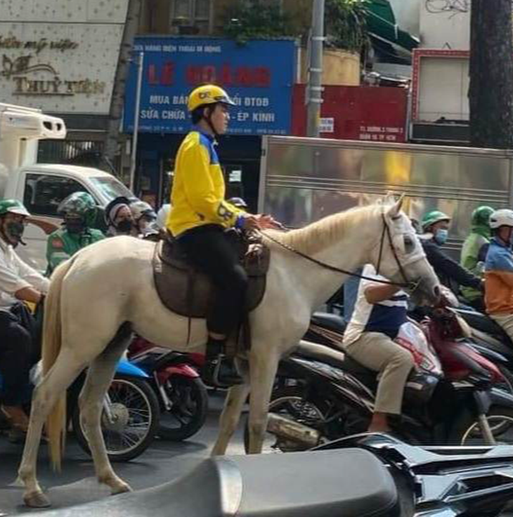Xử phạt người đàn ông cưỡi ngựa dạo khắp trung tâm TP.HCM - Ảnh 2.