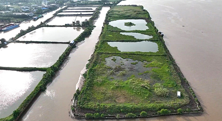 Cồn bãi sông Mekong - Kỳ 1: Cù lao Cá Lóc bảy nổi ba chìm - Ảnh 2.