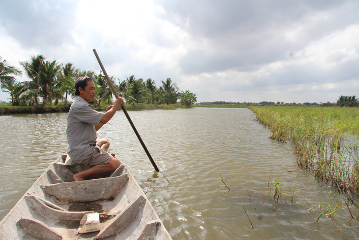 Mặn lấn sâu vào kênh nội đồng, người dân ở xã Tây Yên A, huyện An Biên (Kiên Giang) bơm nước mặn vào để nuôi tôm - Ảnh: CHÍ CÔNG