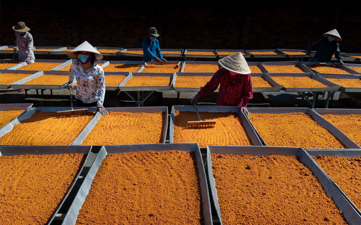 Nghề làm muối ớt Tây Ninh trở thành 