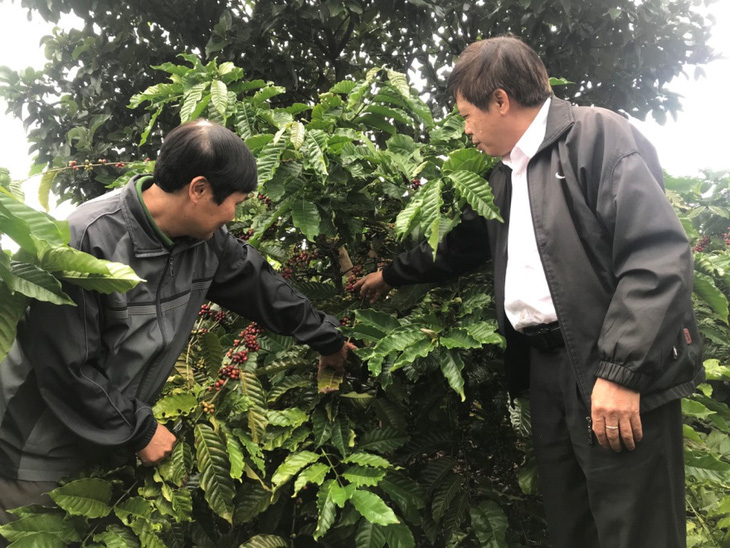 Cán bộ Agribank Đắk Lắk (phải) đi kiểm tra tình tình phát triển của vườn cà phê - Ảnh: TRUNG TÂN