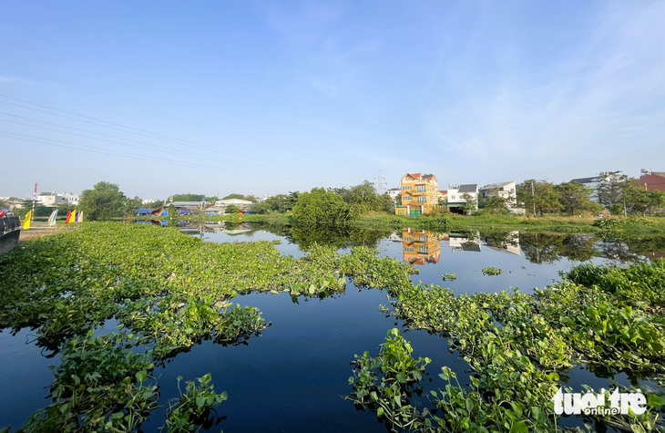 Dòng kênh Tham Lương - Bến Cát - rạch Nước Lên vẫn đang bị ô nhiễm, lục bình bao phủ - Ảnh: LÊ PHAN