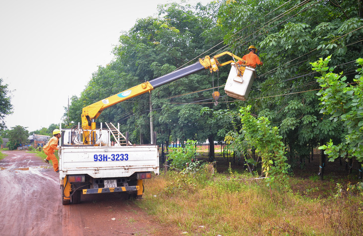 Công nhân điện thường xuyên kiểm tra, phát quang cây xanh khu vực dân cư để phòng ngừa sự cố về điện do vi phạm hành lang an toàn lưới điện cao áp tại Bình Phước - Ảnh: Cty cung cấp