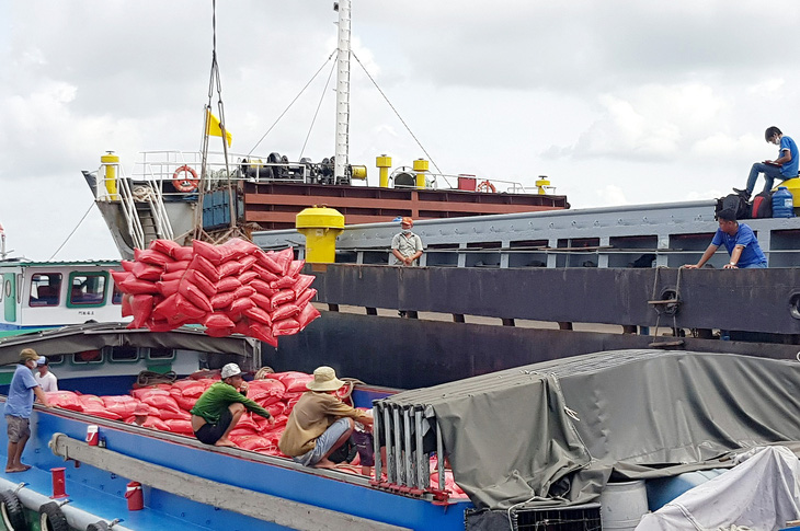 Công nhân cảng Mỹ Thới, TP Long Xuyên, An Giang đưa gạo lên tàu xuất khẩu - Ảnh: BỬU ĐẤU
