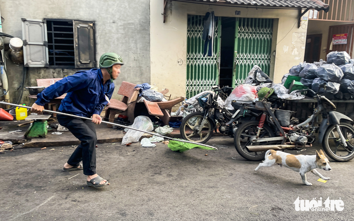 Nam thanh niên chạy xe máy chở đến... 4 con chó không rọ mõm trên đường ở Bình Tân - Ảnh 3.