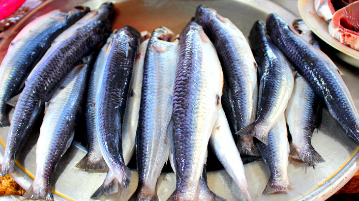 Cá chuồn cồ bán chợ Hòa Nhơn với giá 80.000 đồng/kg