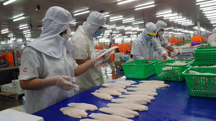Dù có vài lỗi nhỏ nhưng đoàn thanh tra của Mỹ đánh giá rất cao hệ thống kiểm soát an toàn thực phẩm cá tra Việt Nam - Ảnh: BỬU ĐẤU