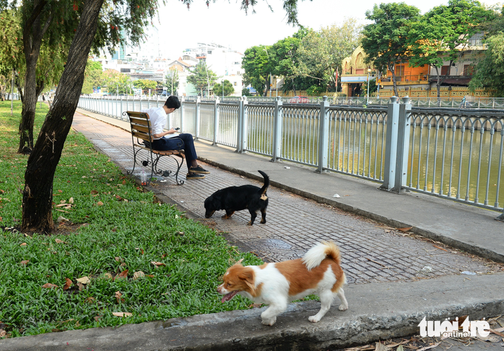 Người dân hóng mát bên bờ kênh tuyệt đẹp thì bị các chủ chó cho chó đi phóng uế - Ảnh: TỰ TRUNG