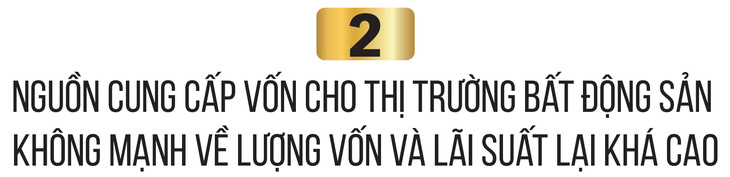 Không giải cứu bất động sản có làm suy sụp nền kinh tế? - Ảnh 8.