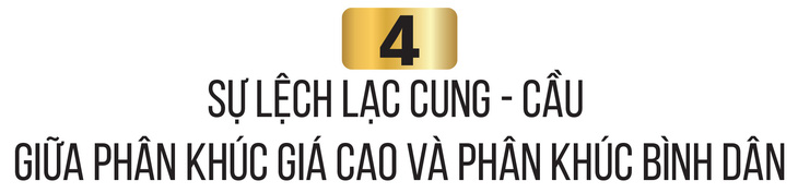 Không giải cứu bất động sản có làm suy sụp nền kinh tế? - Ảnh 11.