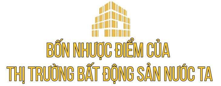 Không giải cứu bất động sản có làm suy sụp nền kinh tế? - Ảnh 5.