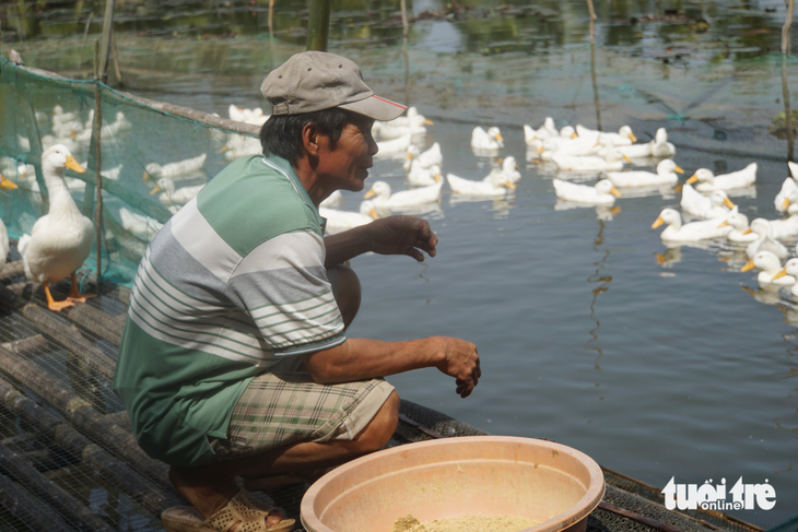 Đồng Tháp khẩn trương triển khai phòng bệnh cúm H5N1 - Ảnh 1.