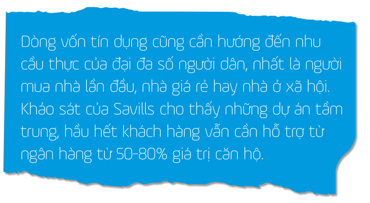 Không giải cứu bất động sản có làm suy sụp nền kinh tế? - Ảnh 24.