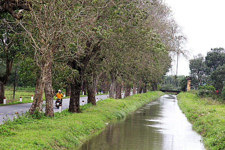Hàng cây đẹp hiền hòa bên dòng kênh và ngôi làng bình yên