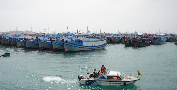 Khu vực neo đậu tránh trú bão trong cảng đảo Phú Quý, tỉnh Bình Thuận - Ảnh: ĐỨC TRONG