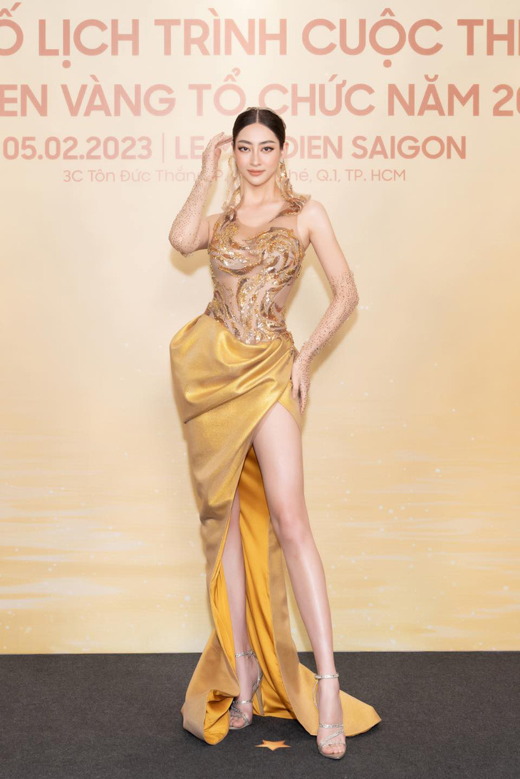 Thêm cuộc thi hoa hậu mới: Hoa hậu Quốc gia Việt Nam - Ảnh 4.