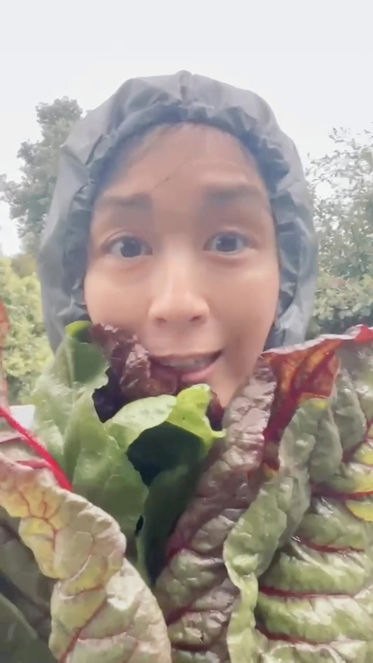 ‘Cựu hoa đán TVB Đường Ninh làm vườn, lấn sân sang vlog - Ảnh 3.