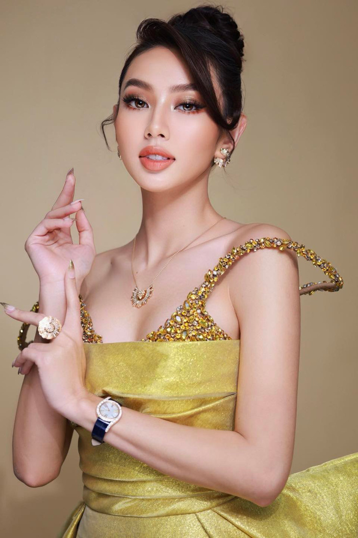 Thêm cuộc thi hoa hậu mới: Hoa hậu Quốc gia Việt Nam - Ảnh 5.