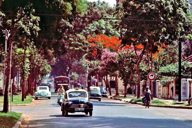 Kỳ 6: Nguyễn Đình Chiểu - con đường hai sắc màu thành phố - Ảnh 2.