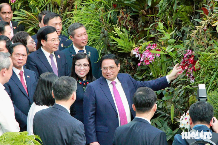 Singapore lấy tên Thủ tướng Phạm Minh Chính và phu nhân đặt cho loài hoa lan mới - Ảnh 2.