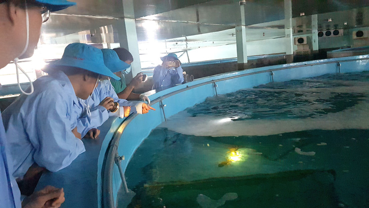Phú Yên xin thôi dự án nuôi trồng thủy sản dưới sông để làm dự án nuôi thủy sản công nghệ cao - Ảnh 1.