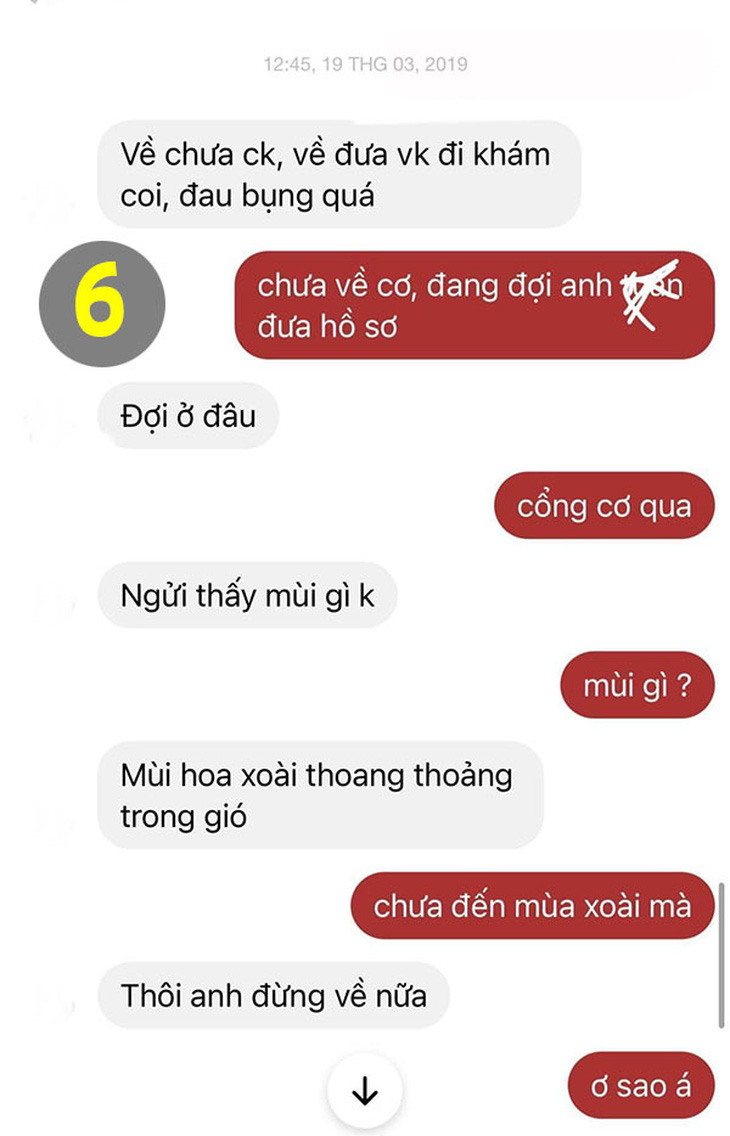 Lỡ dại kể chuyện tình cũ bên cây xoài, chồng bị vợ cà khịa suốt đời - Ảnh 6.