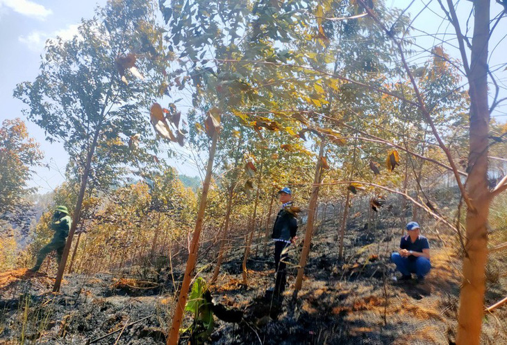 Kon Tum yêu cầu điều tra vụ cháy rừng làm 2 người chết - Ảnh 1.
