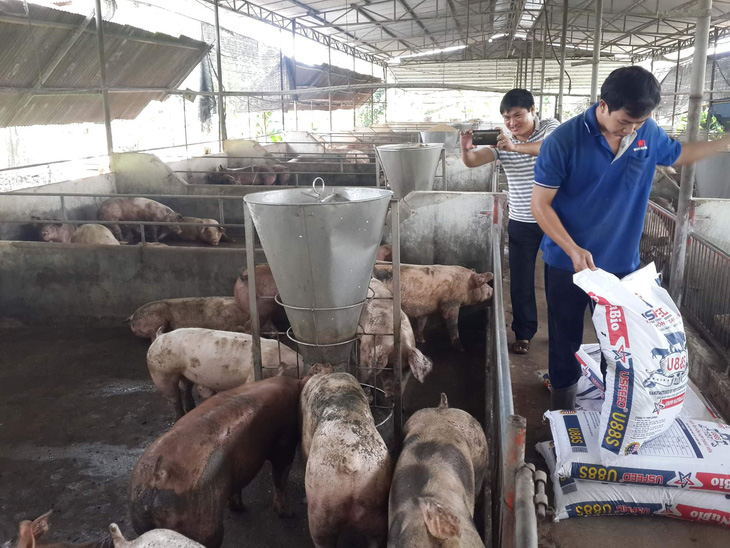 Nhu cầu về vắc xin phòng bịch bệnh cho gia súc, gia cầm ở mức cao - Ảnh: N.TRÍ
