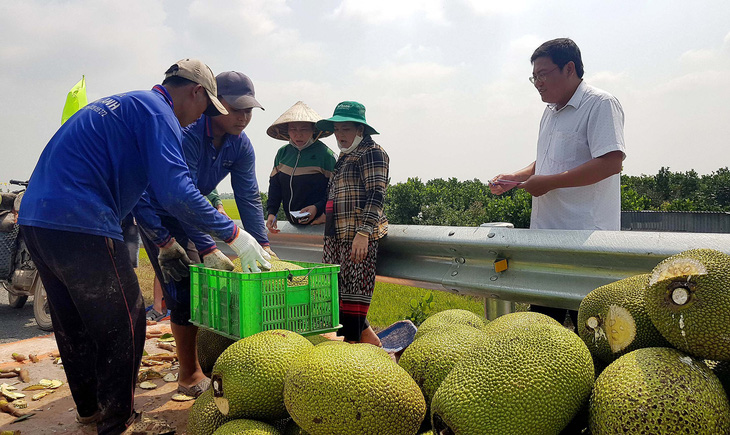 Nông dân xã Thạnh Mỹ Tây, huyện Châu Phú, An Giang bán mít với giá xô là 39.000 đồng/kg - Ảnh: BỬU ĐẤU