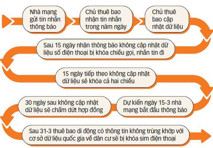 Quy trình thuê bao di động cập nhật thông tin - Đồ họa: T.ĐẠT